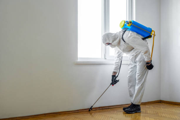 Best Residential Pest Control  in Roanoke, IN